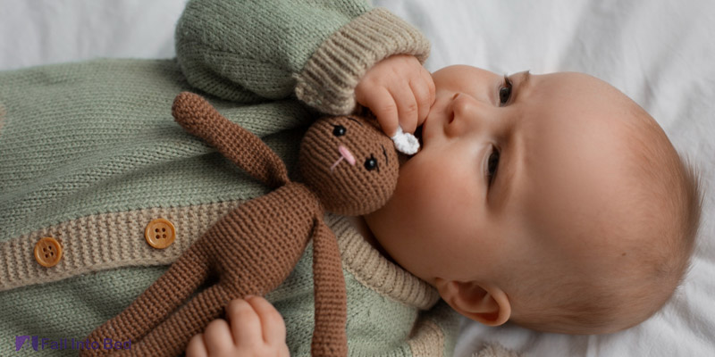 baby biting toy